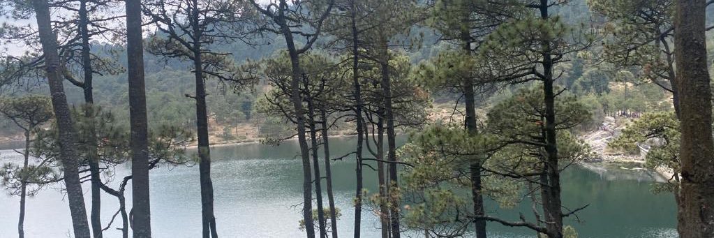 knomtz09's profile banner image