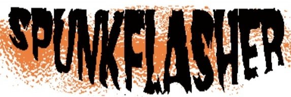spunkflasher's profile banner image