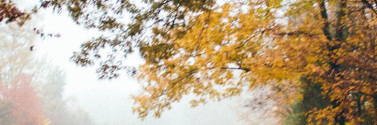 arton_azemi's profile banner image