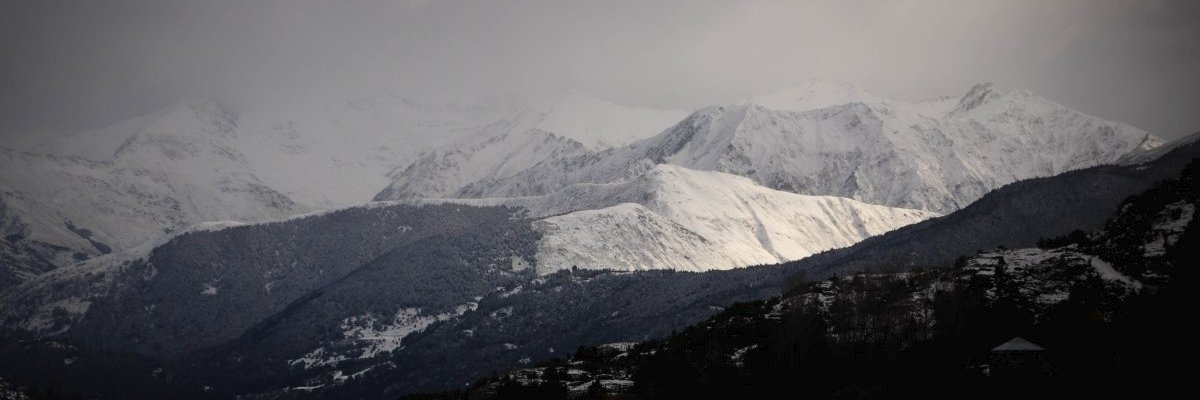 medbmccarthy's profile banner image