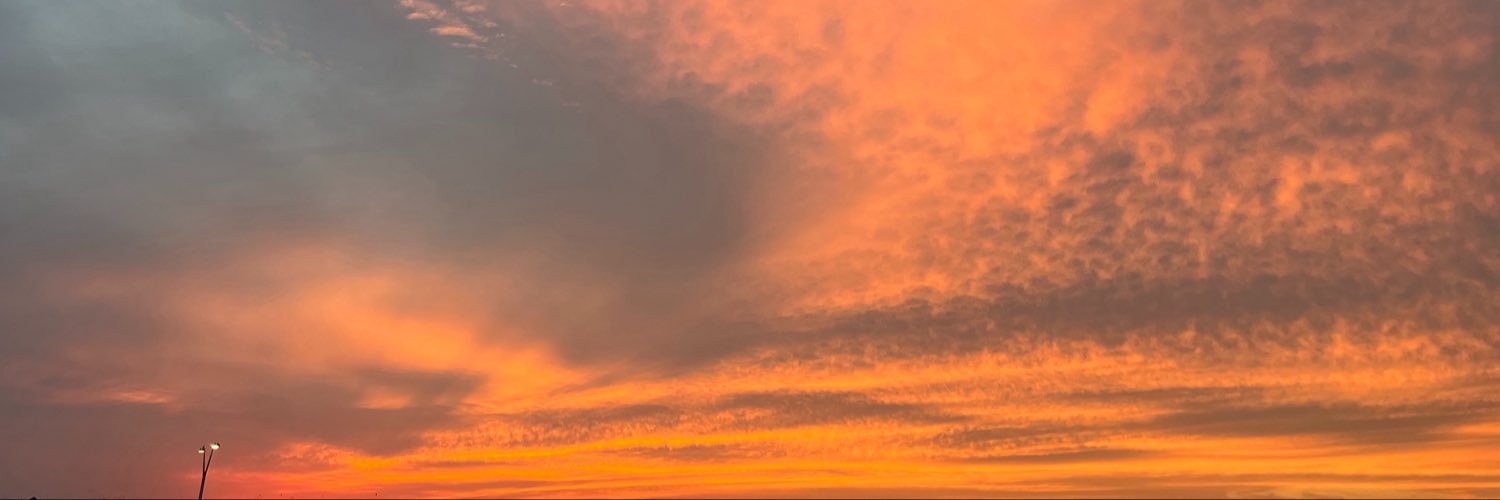 pricele23's profile banner image