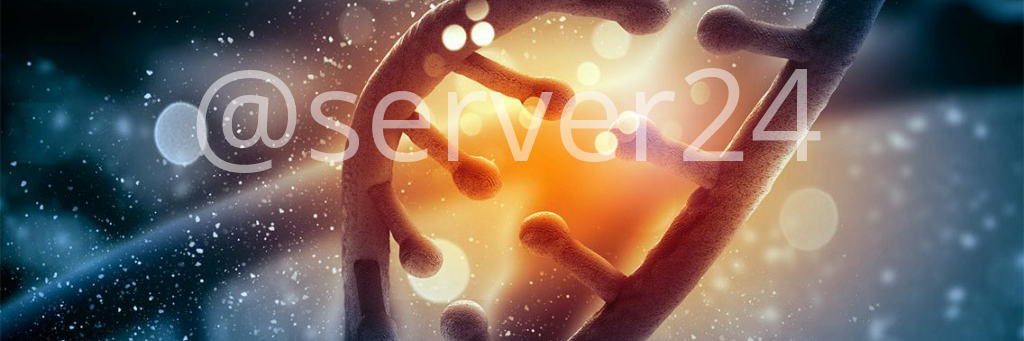 server24's profile banner image