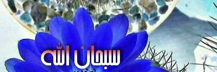 4141Mda7's profile banner image