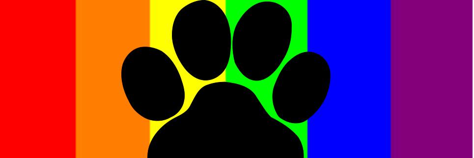 Citronlemoncat's profile banner image