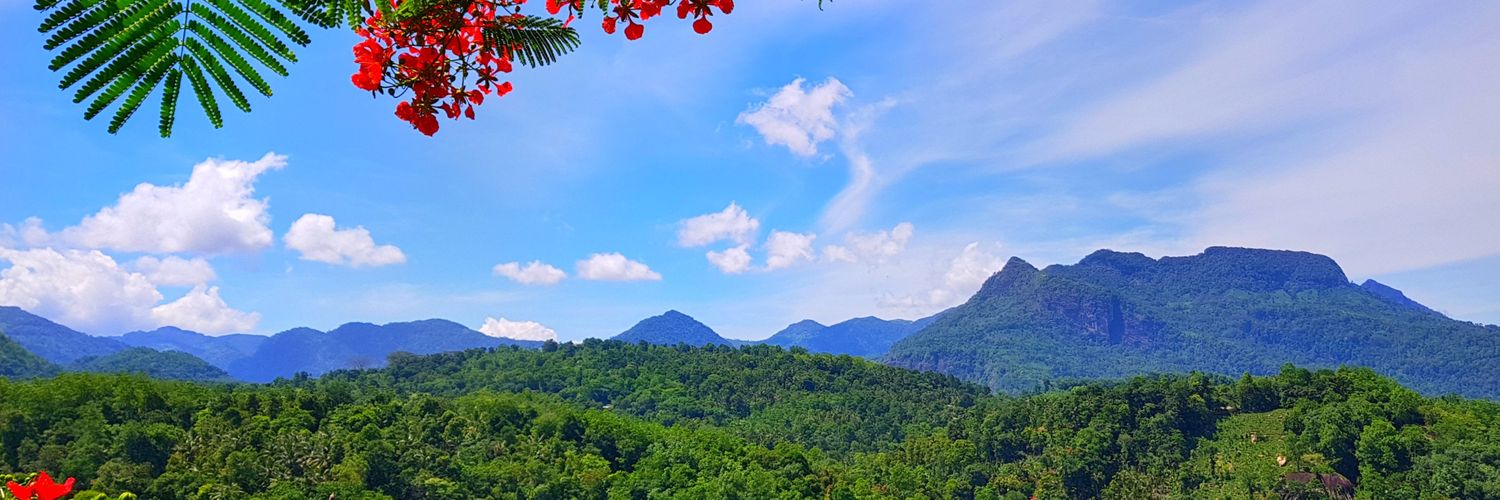 senakanbd's profile banner image