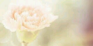 glaxy2380's profile banner image