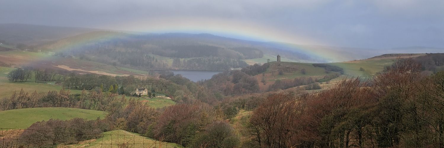 Paul the Blue Alien 👽 banner