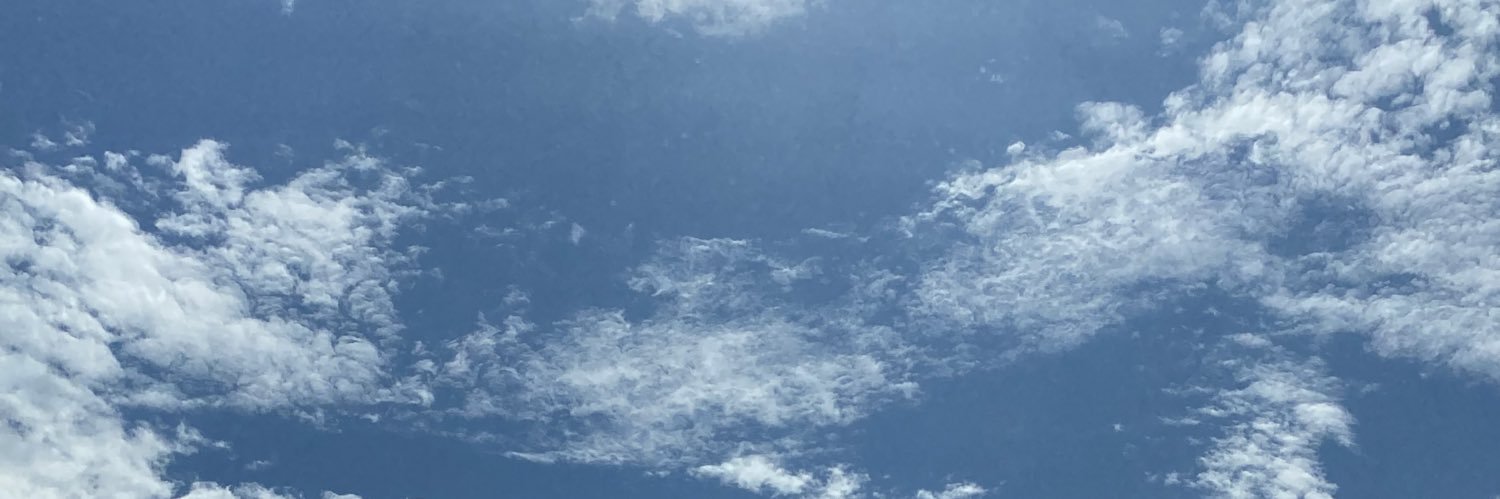 何なん！おかも banner