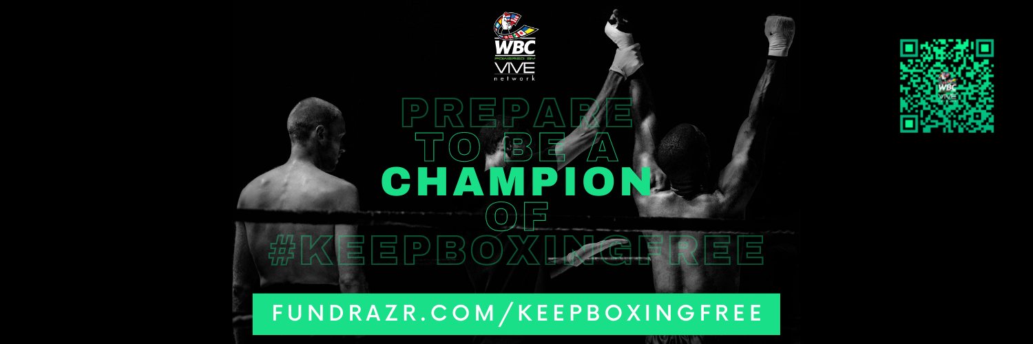 VIVE TV Network banner