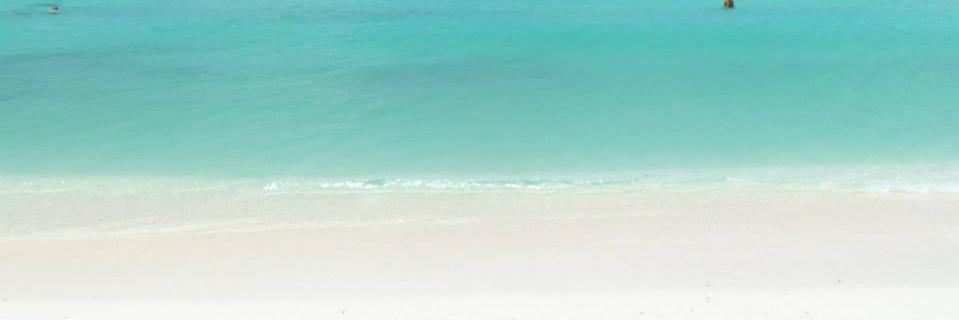 AmyL36's profile banner image