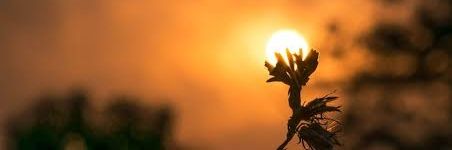 PratapChandel's profile banner image
