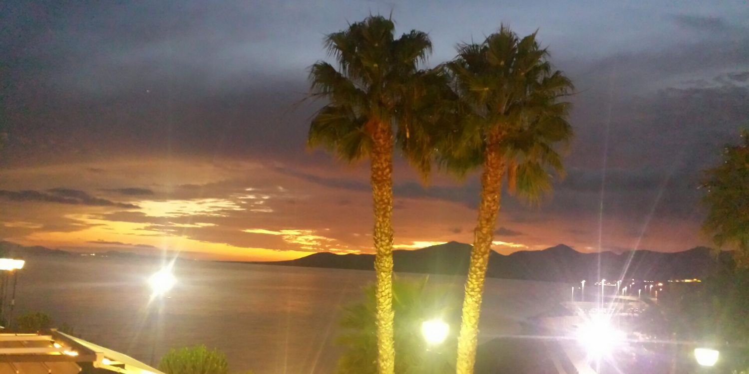 MegM93's profile banner image