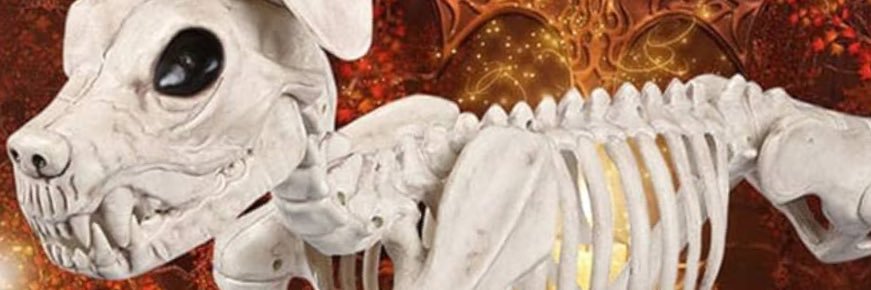 SamJack46's profile banner image