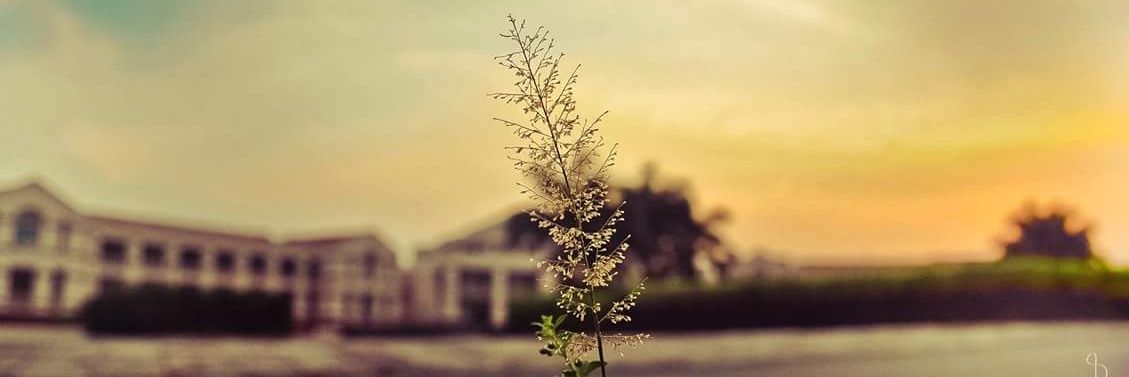 bhalanilesh's profile banner image