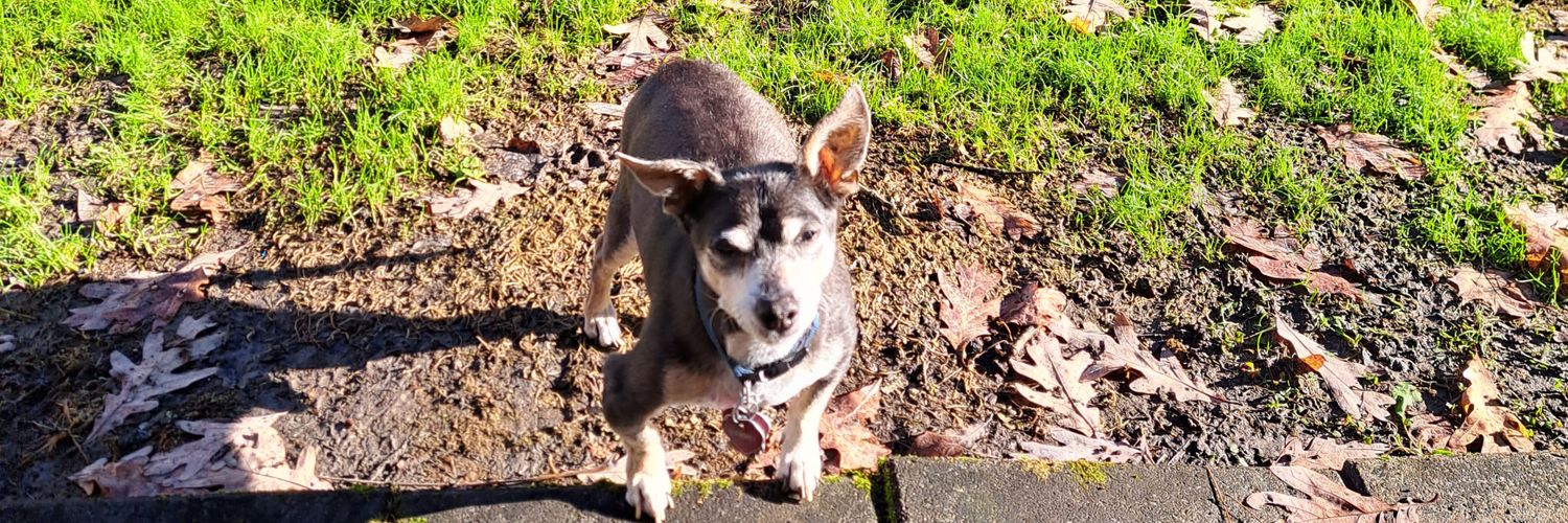 Leon Kaye 🇦🇲🌎✍️🌈 banner