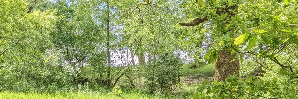 smestorp Profile Banner