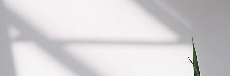 _alexa_al's profile banner image