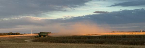 kimma2 Profile Banner