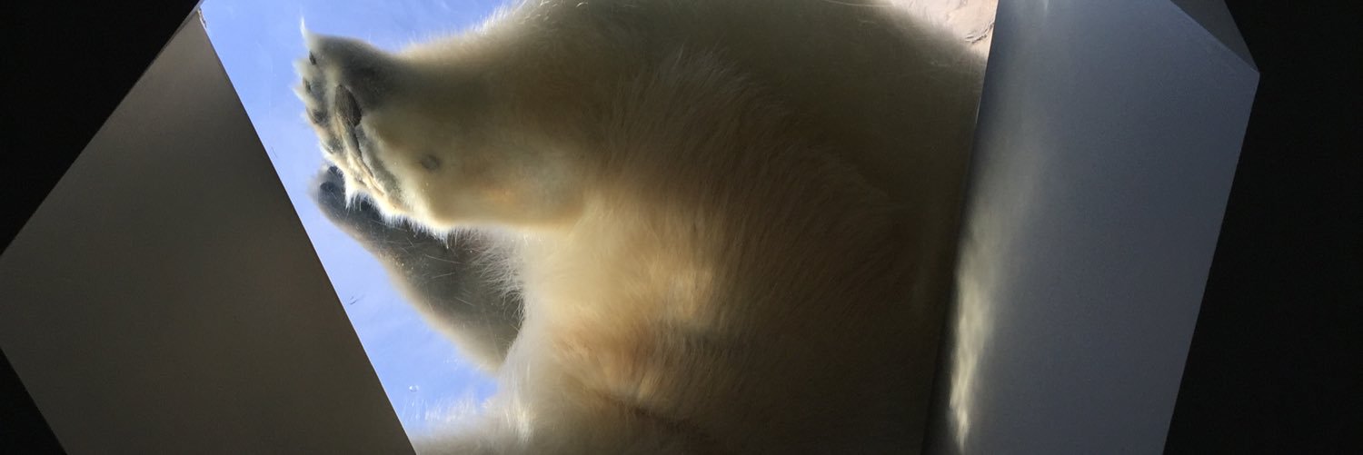 ronthehonkie's profile banner image
