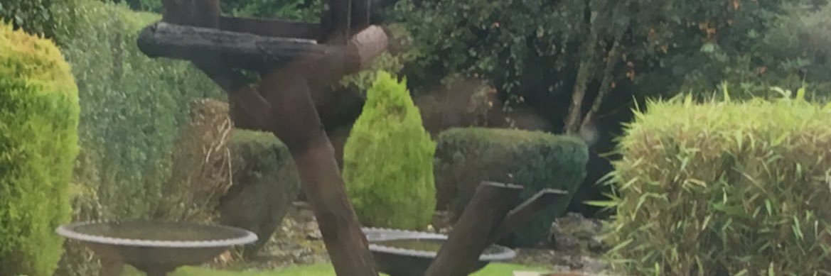 Cllr. Zafar Coupland banner