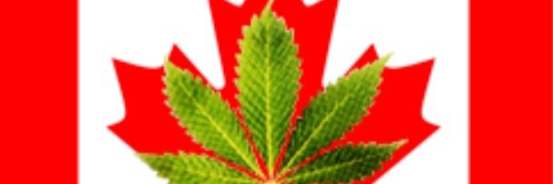 🇨🇦 🩸 Bernard 🩸🇨🇦 banner