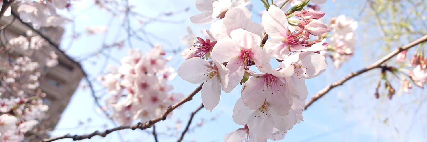 na_cherry_mi's profile banner image
