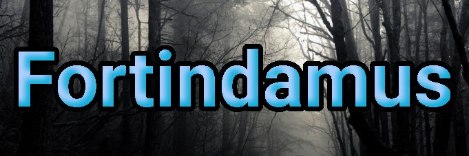 Fortindamus banner