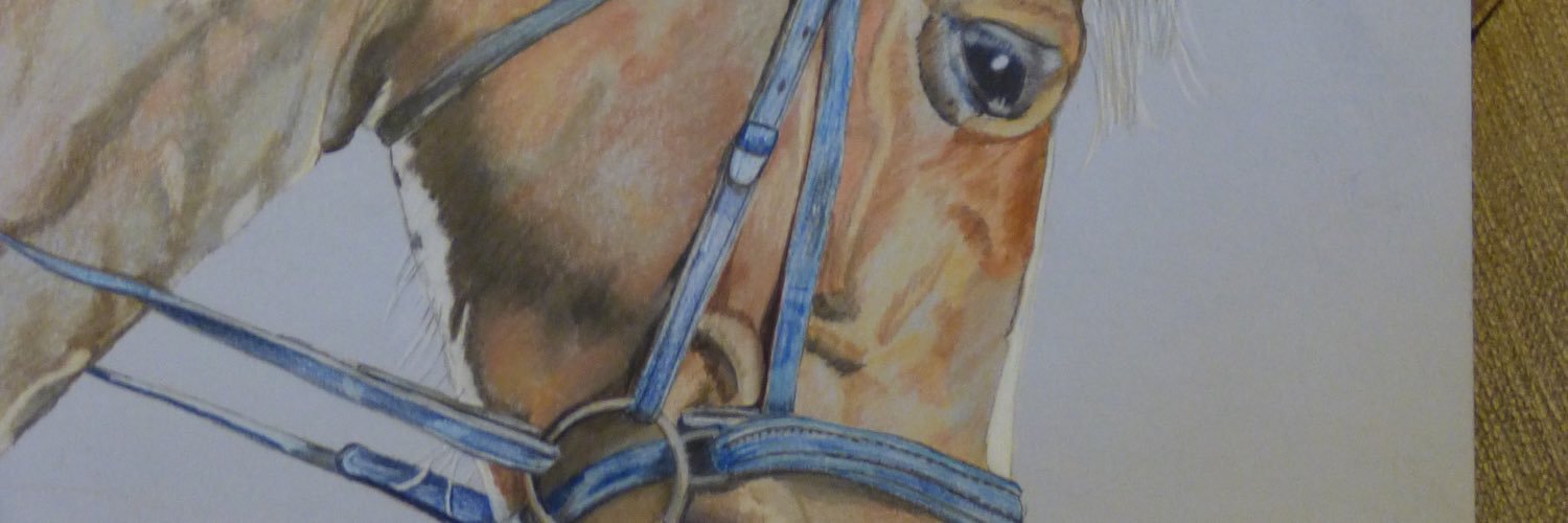 Andy3404's profile banner image