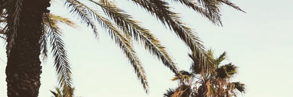 sionedjones14's profile banner image