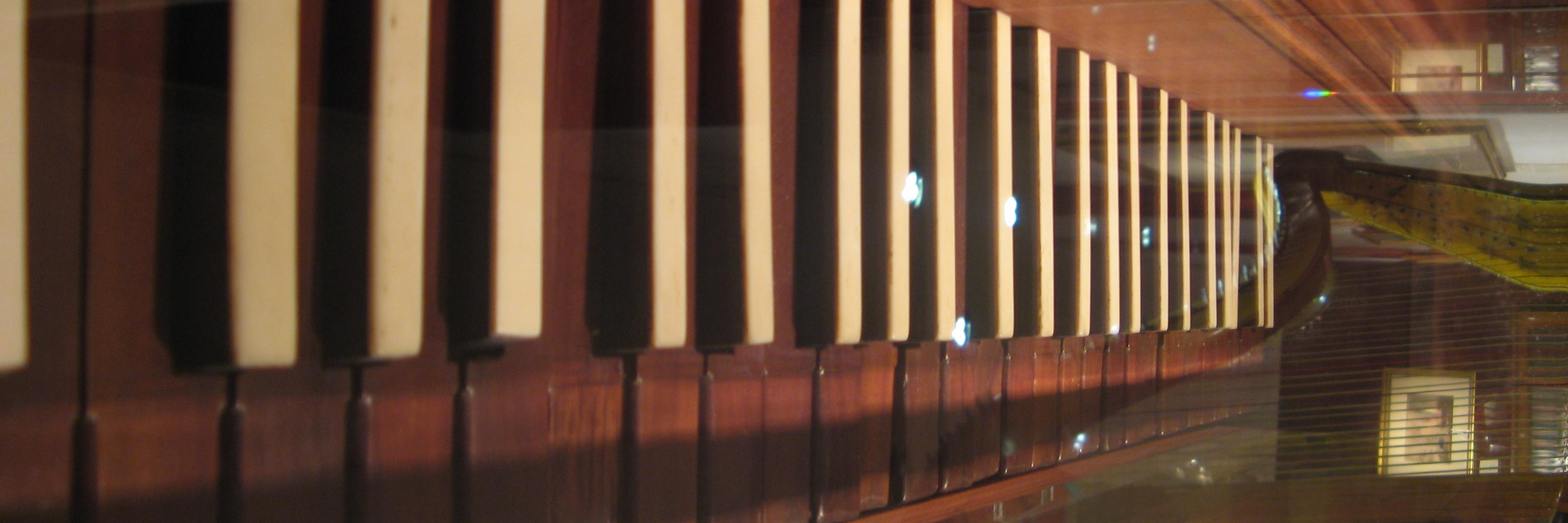 petorr's profile banner image