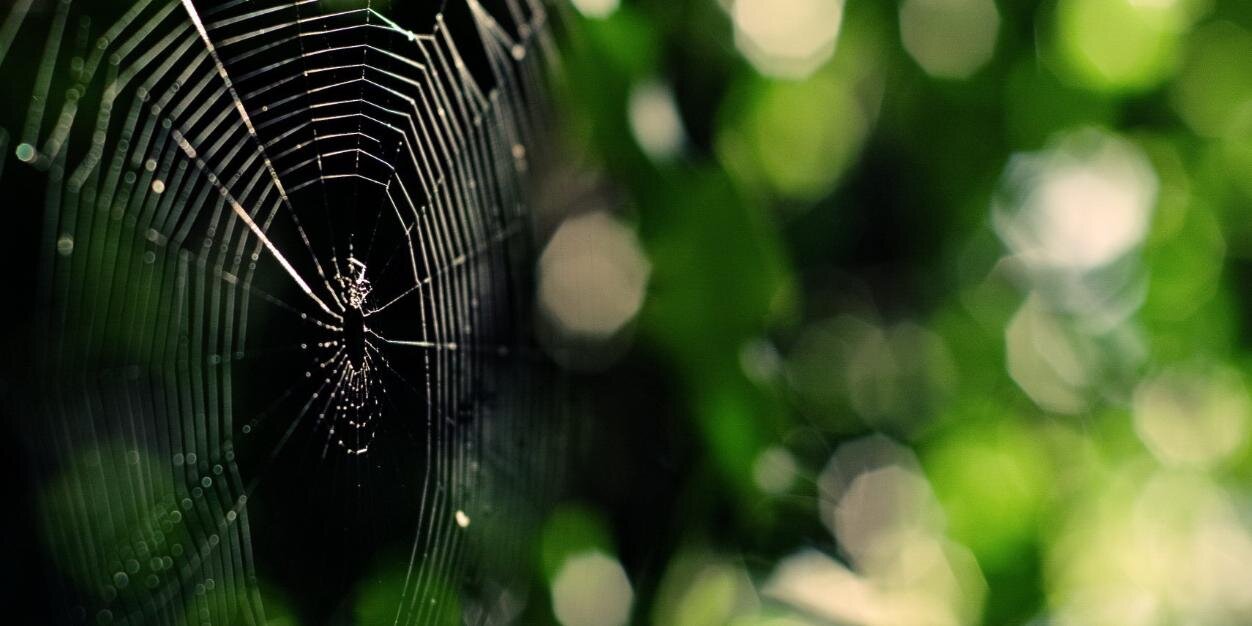 nourafull's profile banner image