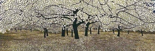 sahro Profile Banner