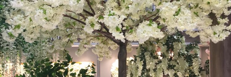 houseoftreesuk's profile banner image