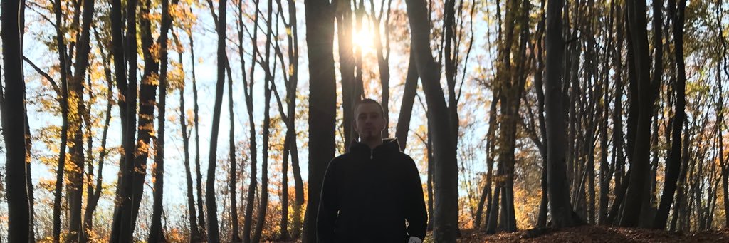 DavideBusetto's profile banner image