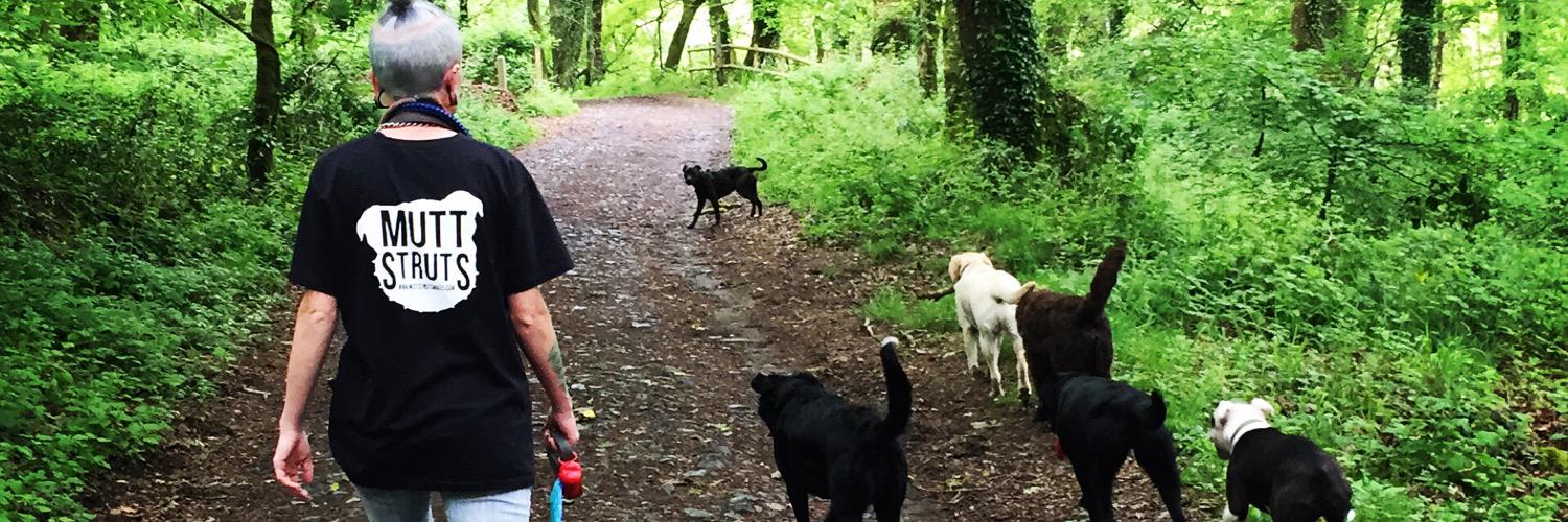 muttstrutswales's profile banner image