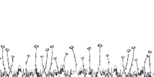 MagicLightShow's profile banner image