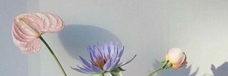 amberjxox's profile banner image