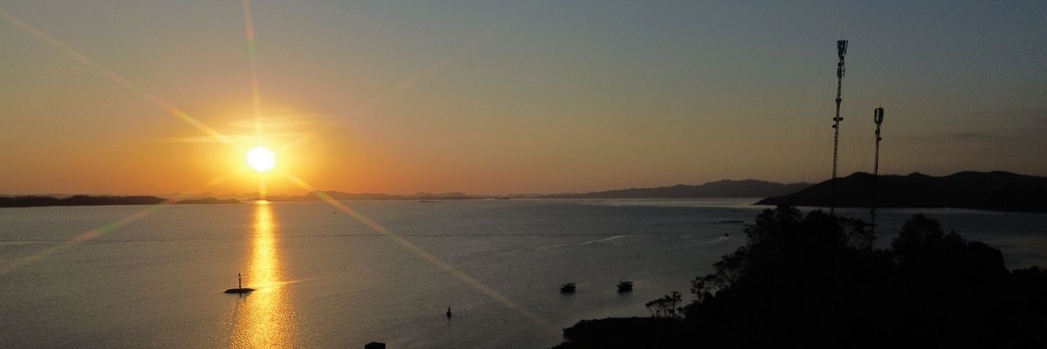 Vũ Hồng Kỳ banner