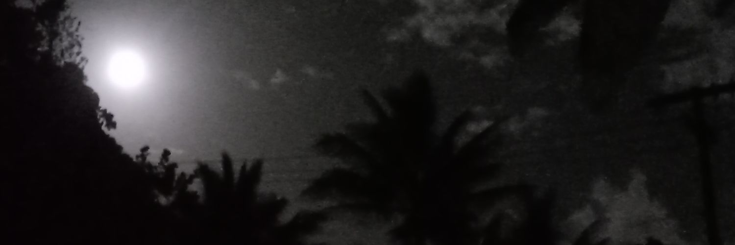 Punaticular's profile banner image