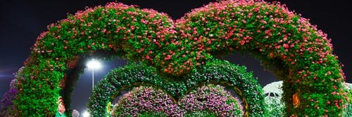 shabbych's profile banner image