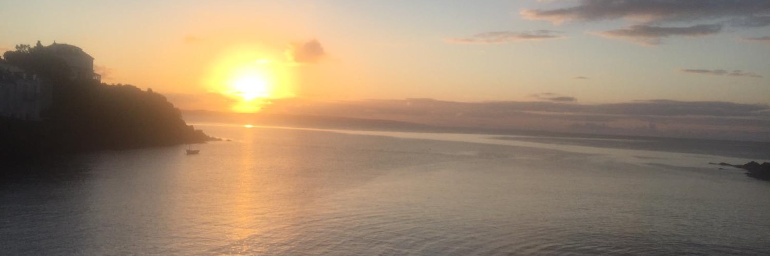 therealLizB's profile banner image