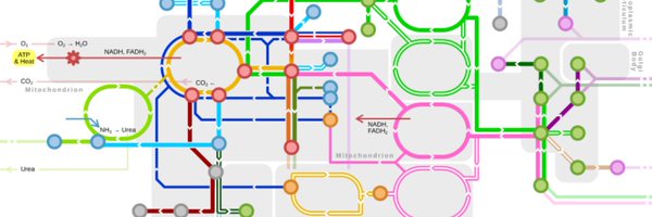 dr_ohsopretty Profile Banner