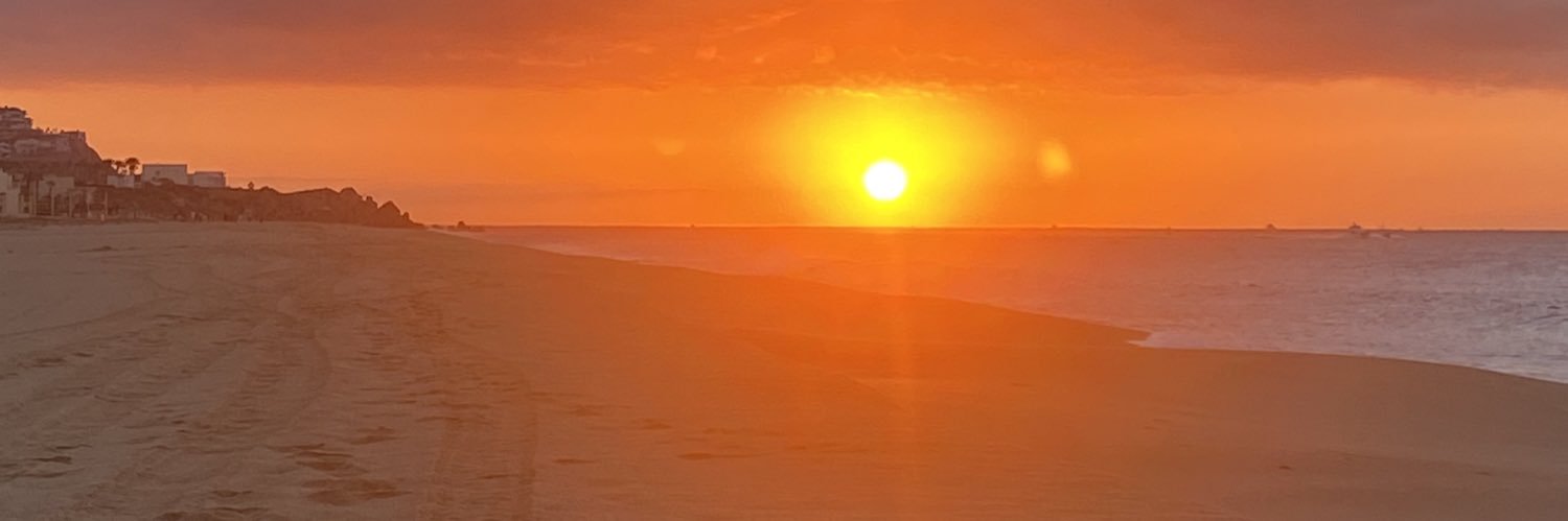 Scott Fitzgerald banner