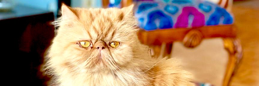 leeFHardy's profile banner image