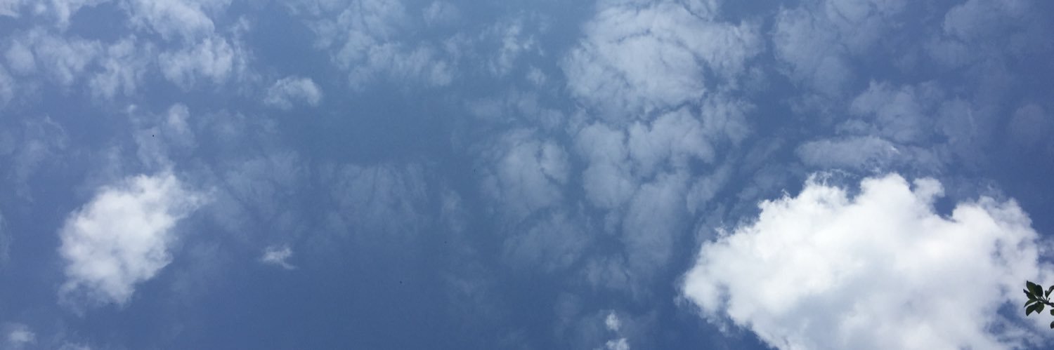 CatHarulow's profile banner image