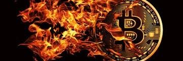 Crypto Hunter banner