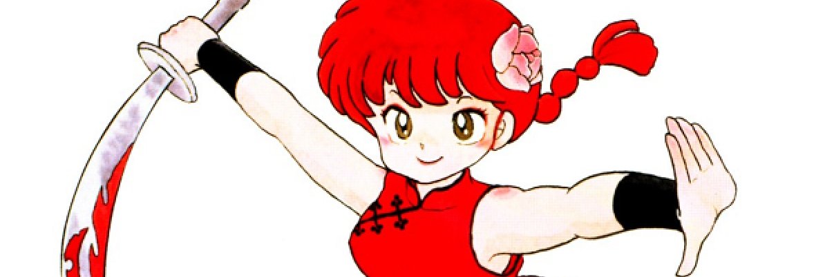 robin (now with extra salt🧂) banner