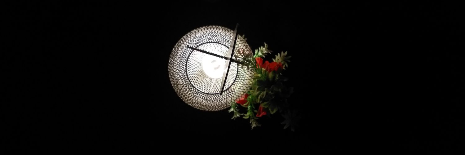 saswati616's profile banner image