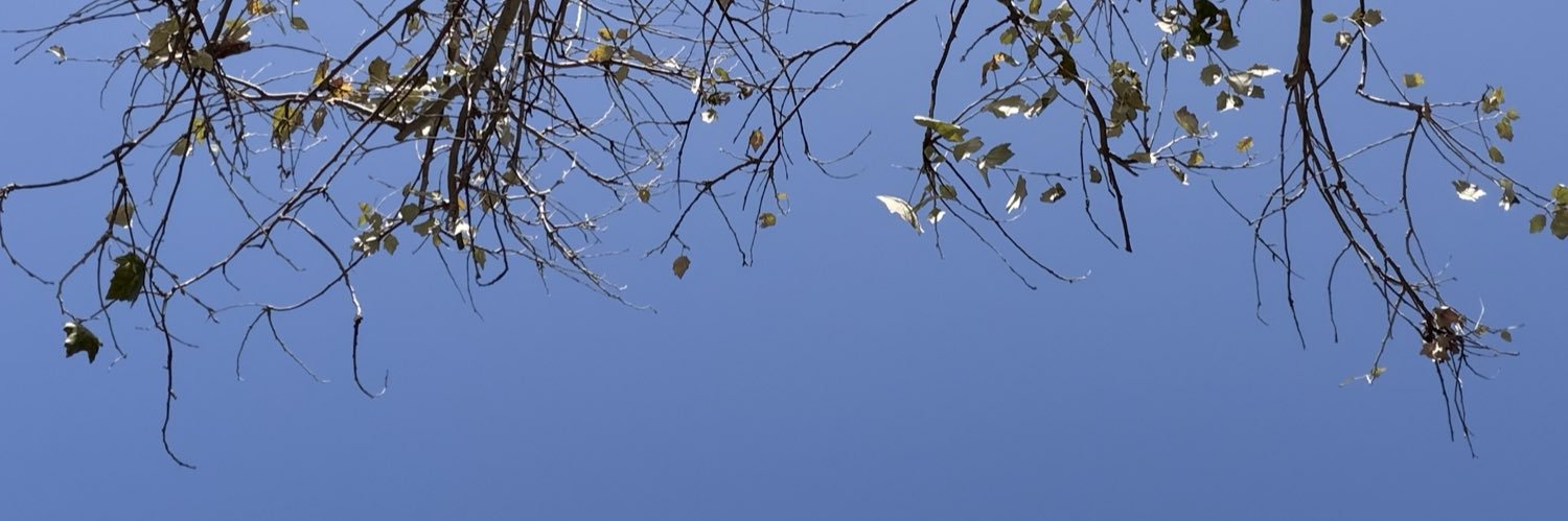 Omghazzi's profile banner image