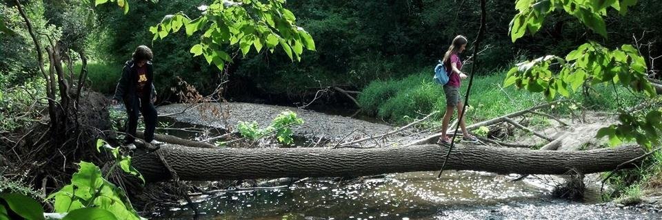 CCrollCarlson's profile banner image